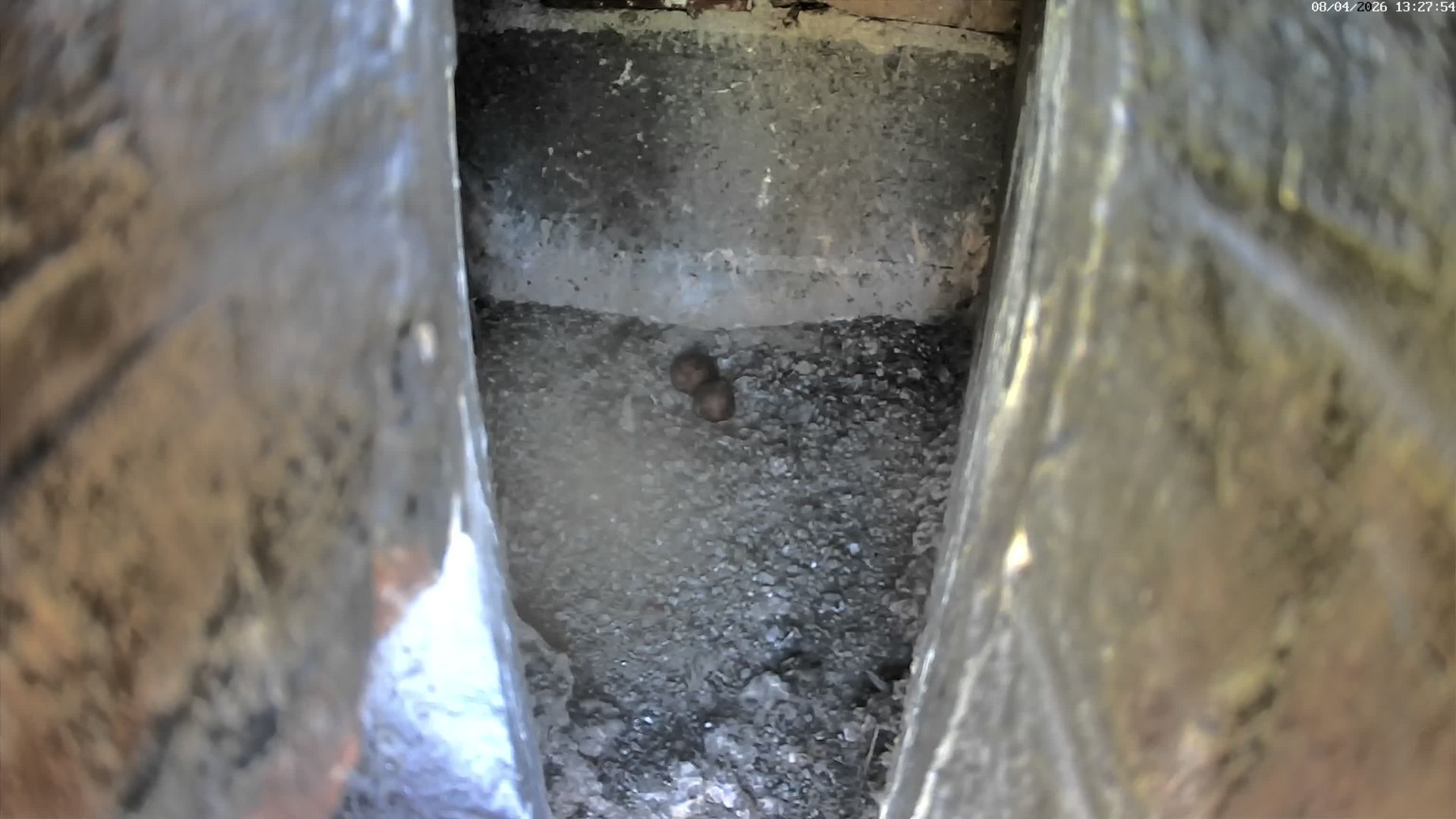 Le Havre: Tourneville: Faucon Fort de