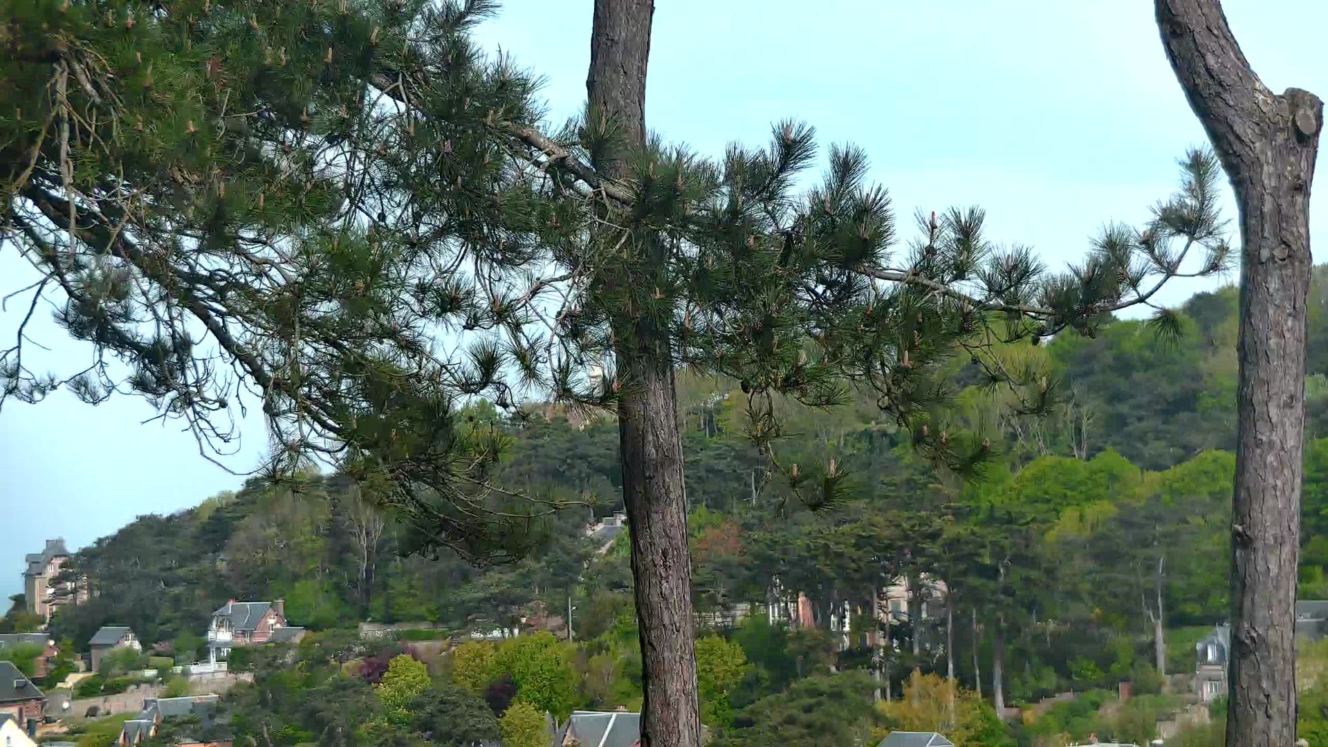 Étretat: Le Calvaire: Etretat - Le Donjon
