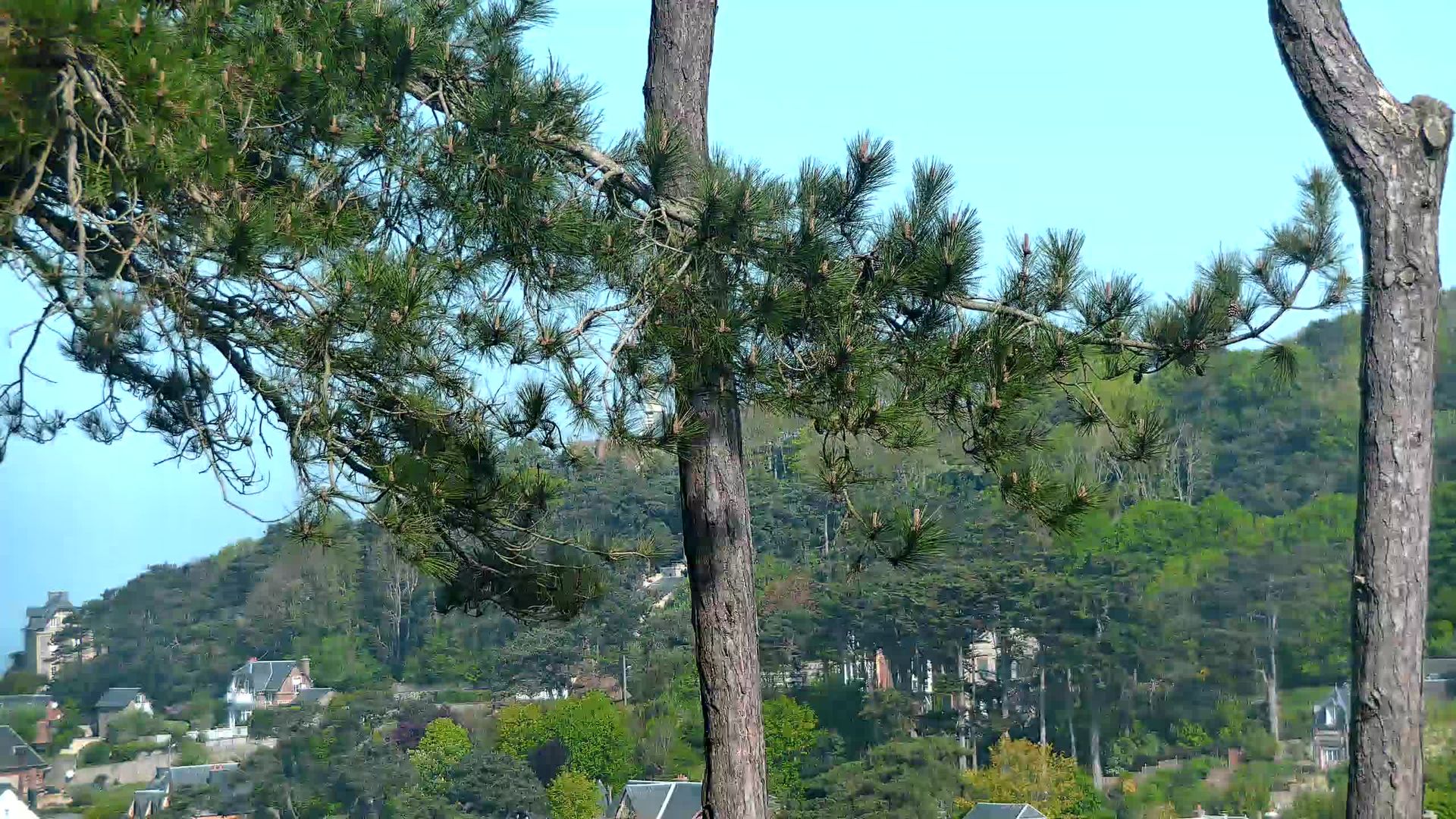 Étretat: Le Calvaire: Etretat - Le Donjon