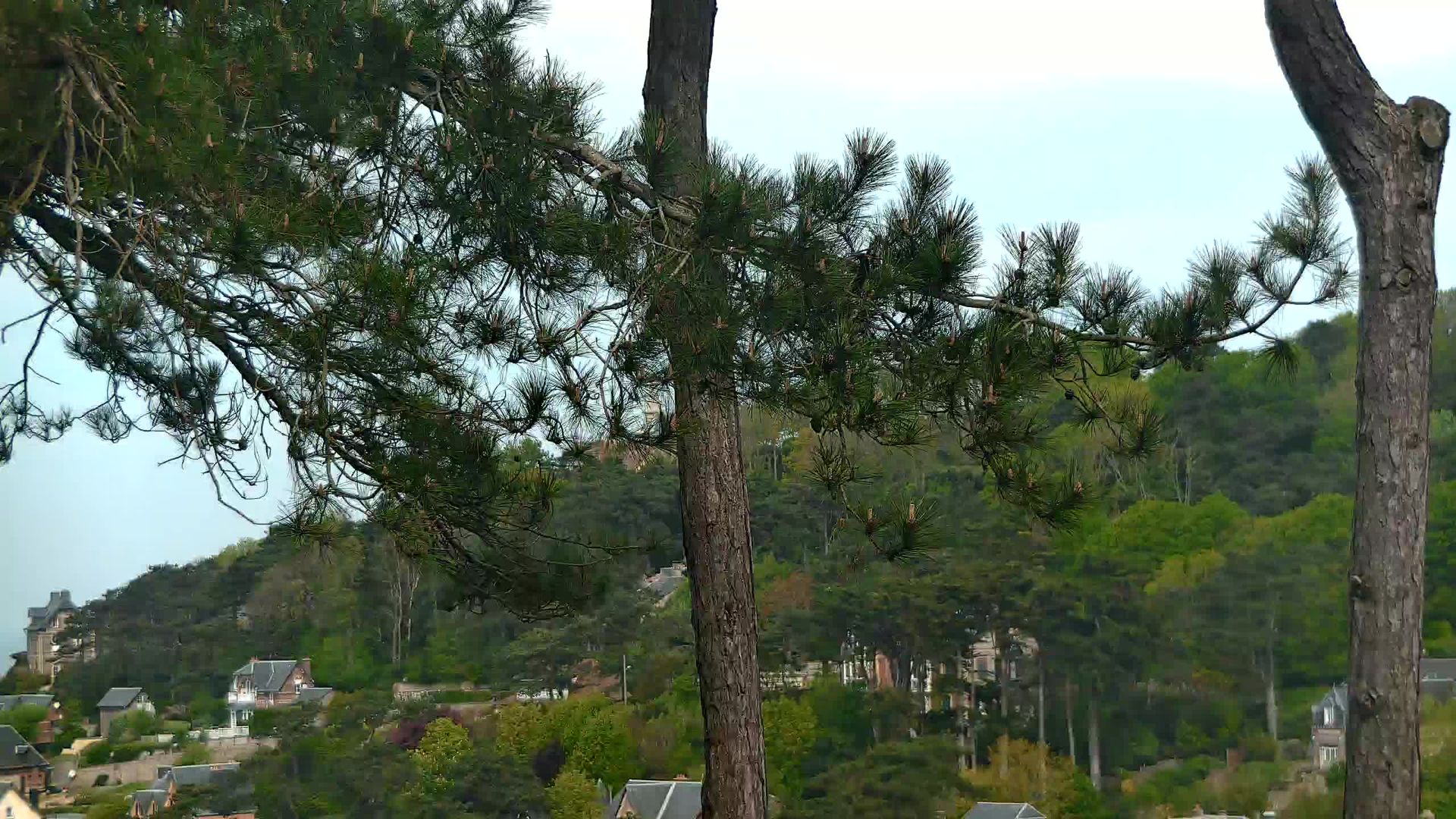 Étretat: Domaine Saint-Clair