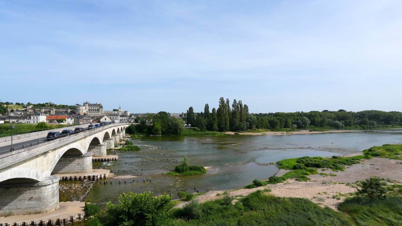 Amboise › Sud-est: Château Royal d'Amboise