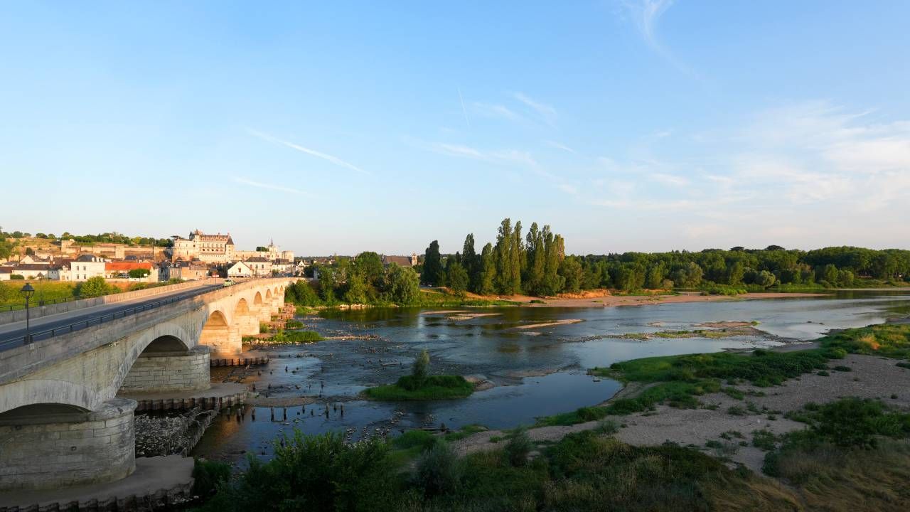 Amboise › Sud-est: Château Royal d'Amboise