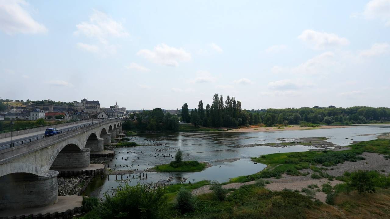 Amboise › Sud-est: Château Royal d'Amboise