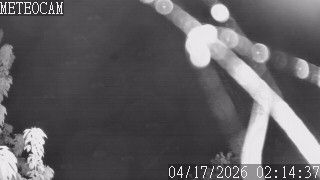 L'Isle-Jourdain › Sud-ouest