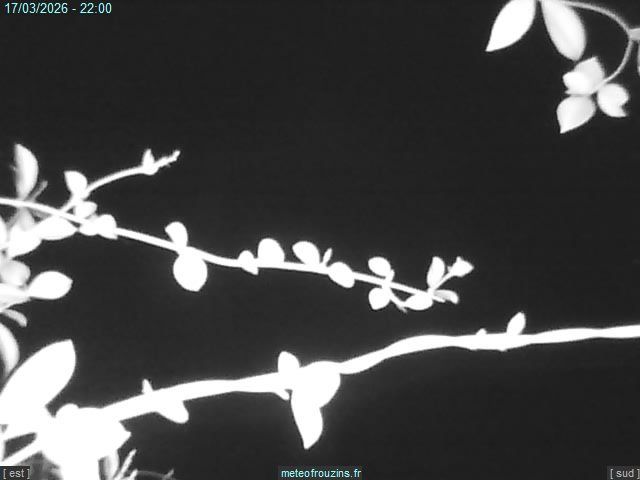 Frouzins › Sud-est: Région Midi-Pyrénées, France