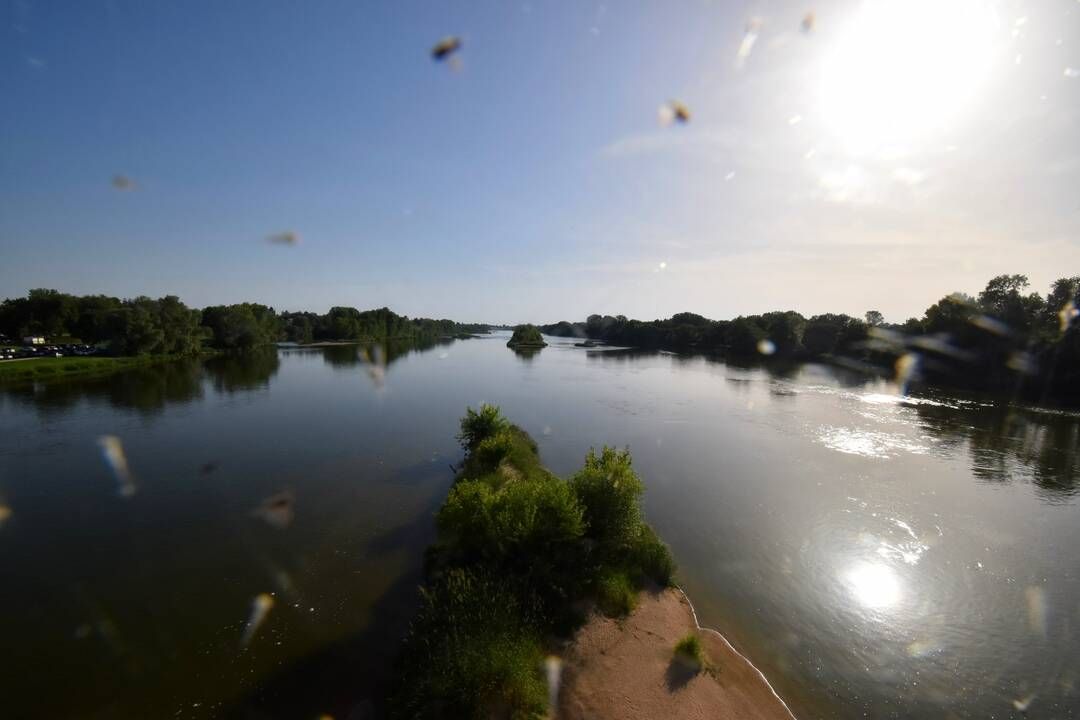 Muides-sur-Loire › Sud-ouest