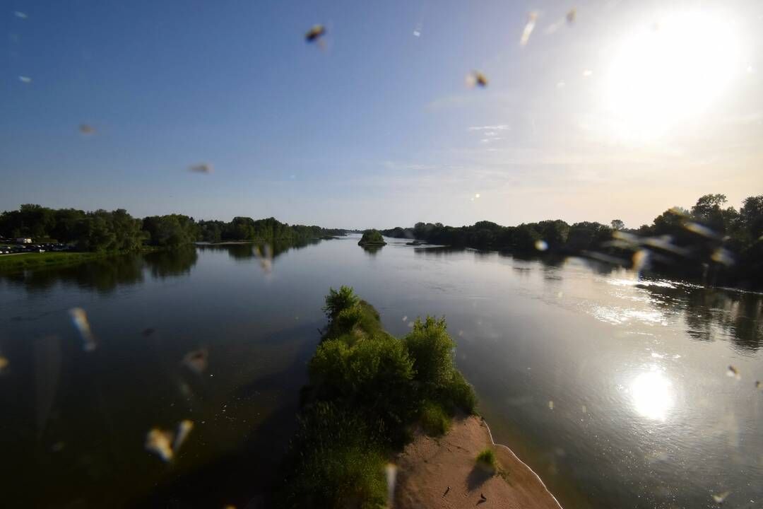 Muides-sur-Loire › Sud-ouest