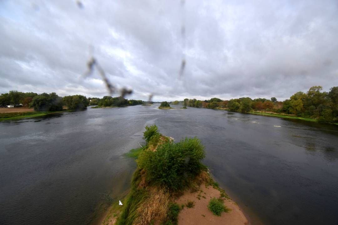 Muides-sur-Loire › Sud-ouest