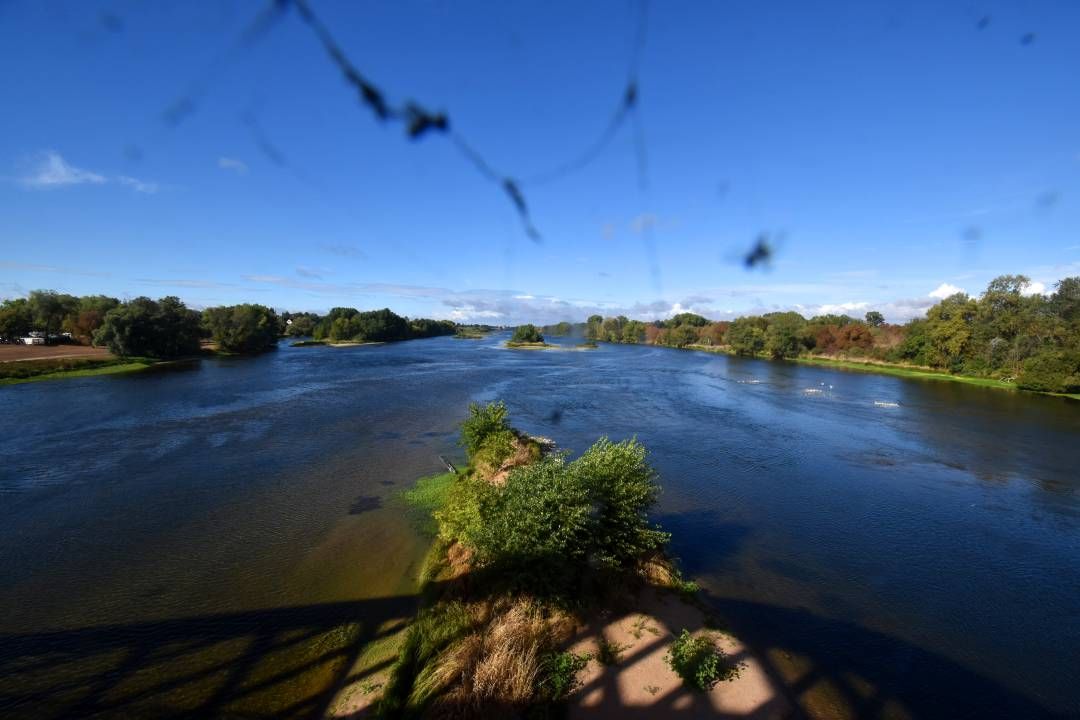 Muides-sur-Loire › Sud-ouest