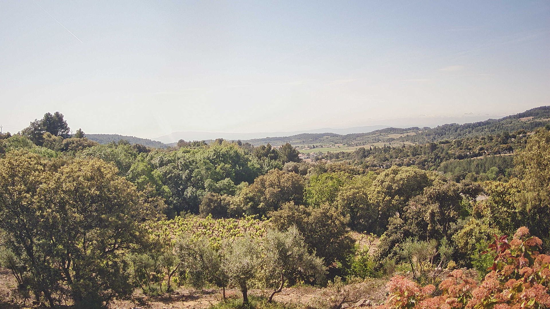 Félines-Minervois › Sud