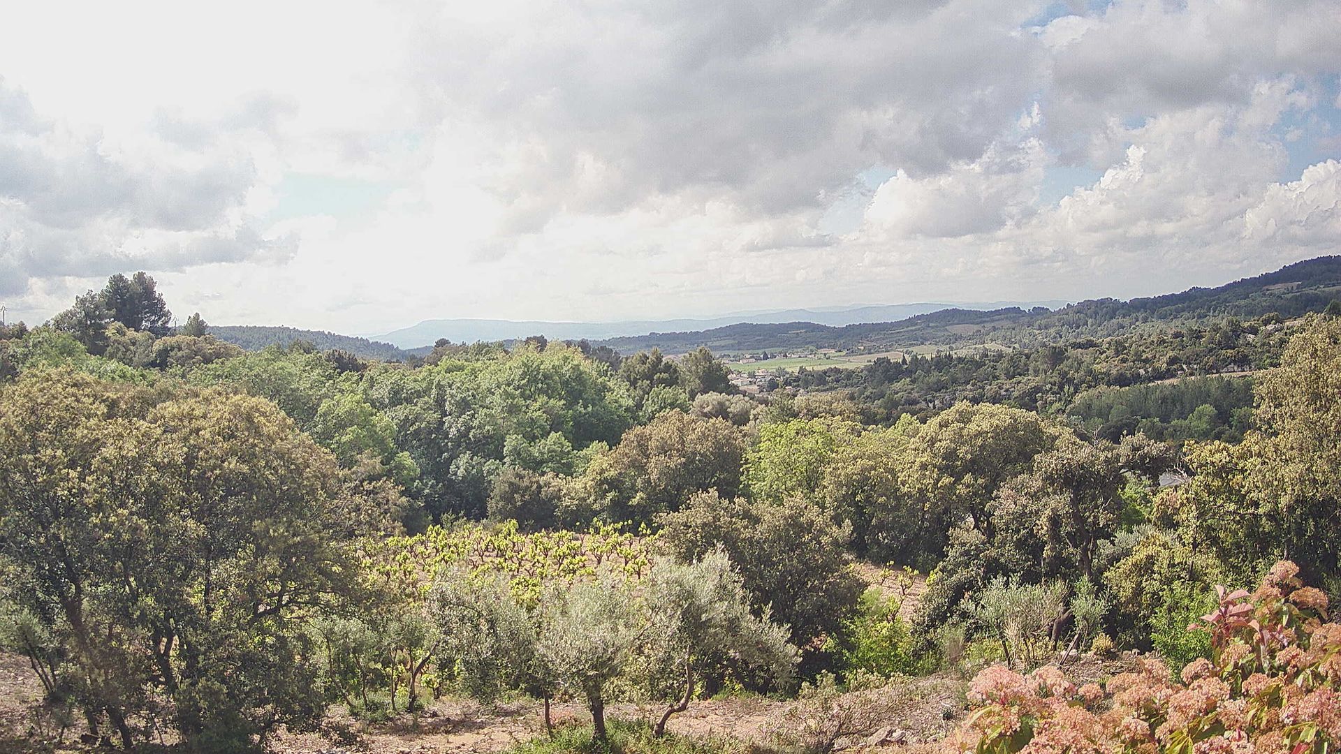 Félines-Minervois › Sud