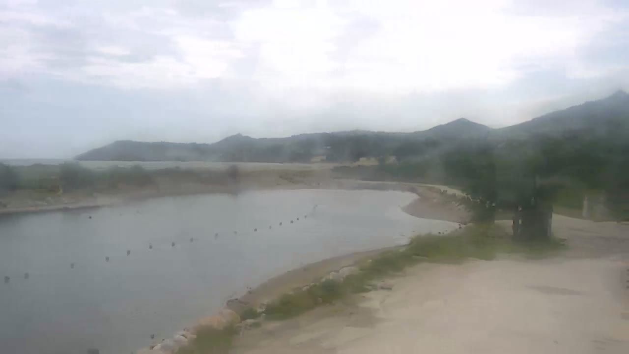 Argelès-sur-Mer: Le port