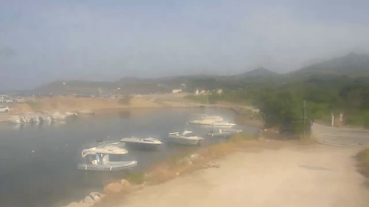 Argelès-sur-Mer: Le port