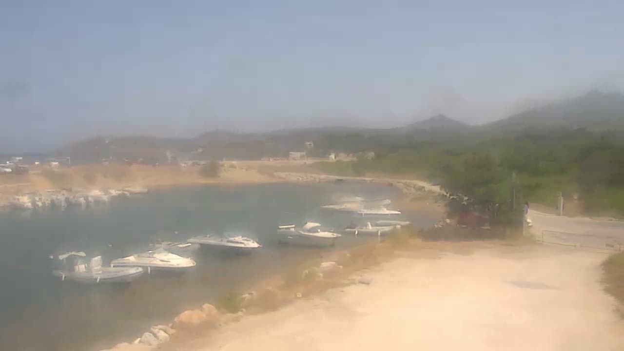 Argelès-sur-Mer: Le port
