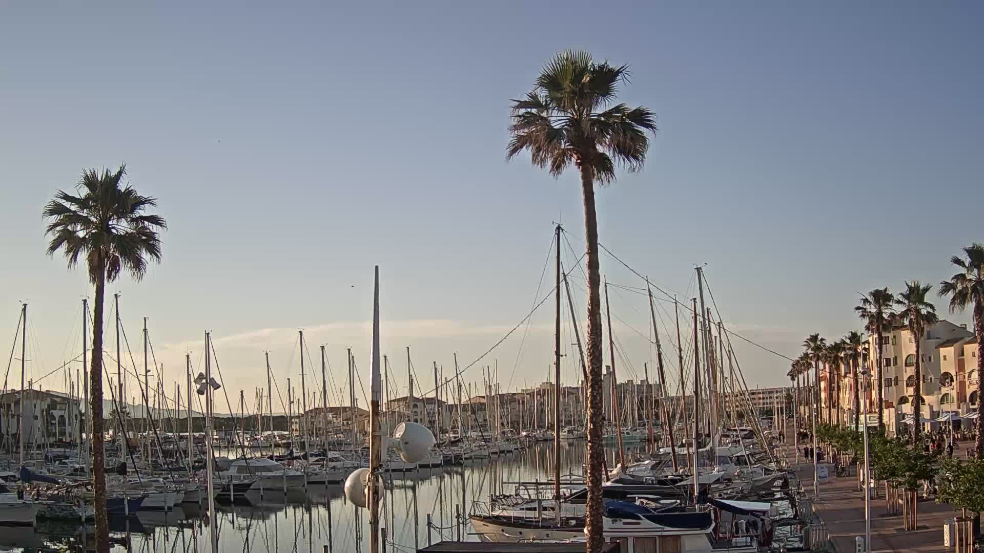 Leucate: Le Port