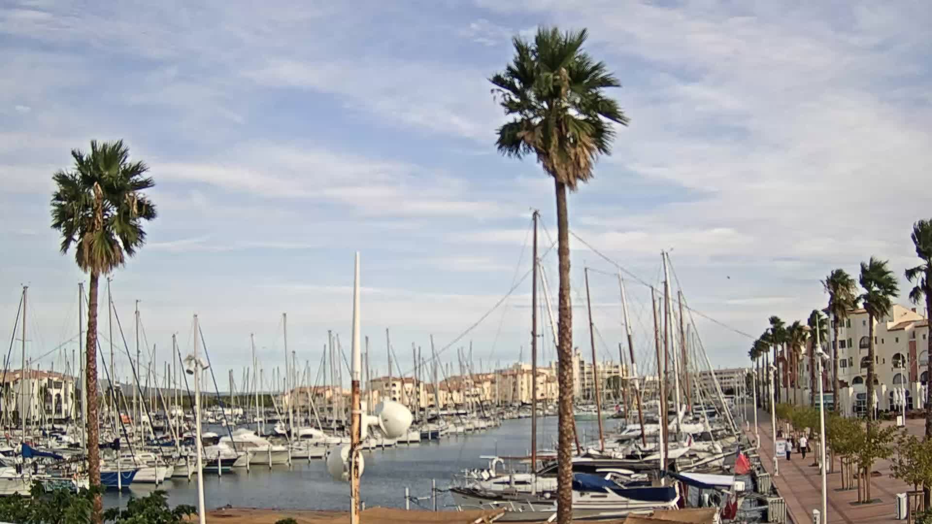 Leucate: Le Port