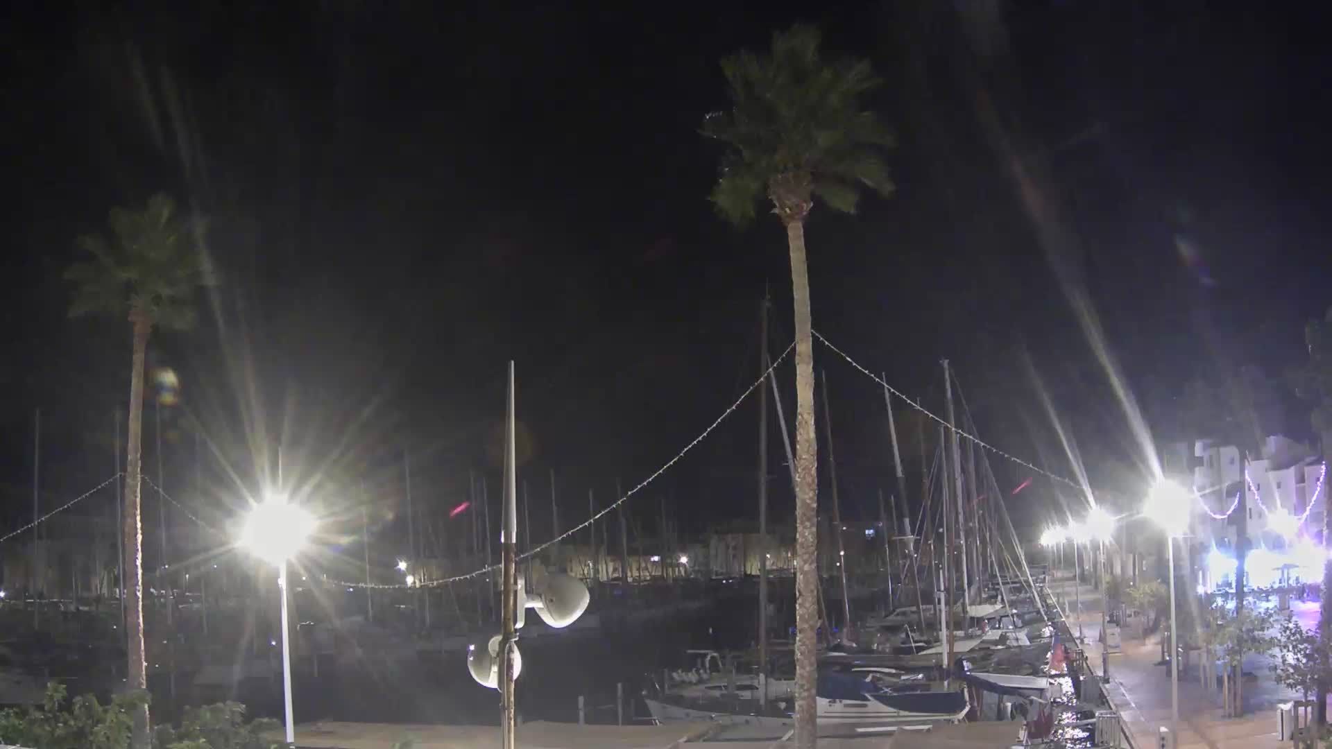 Leucate: Le Port