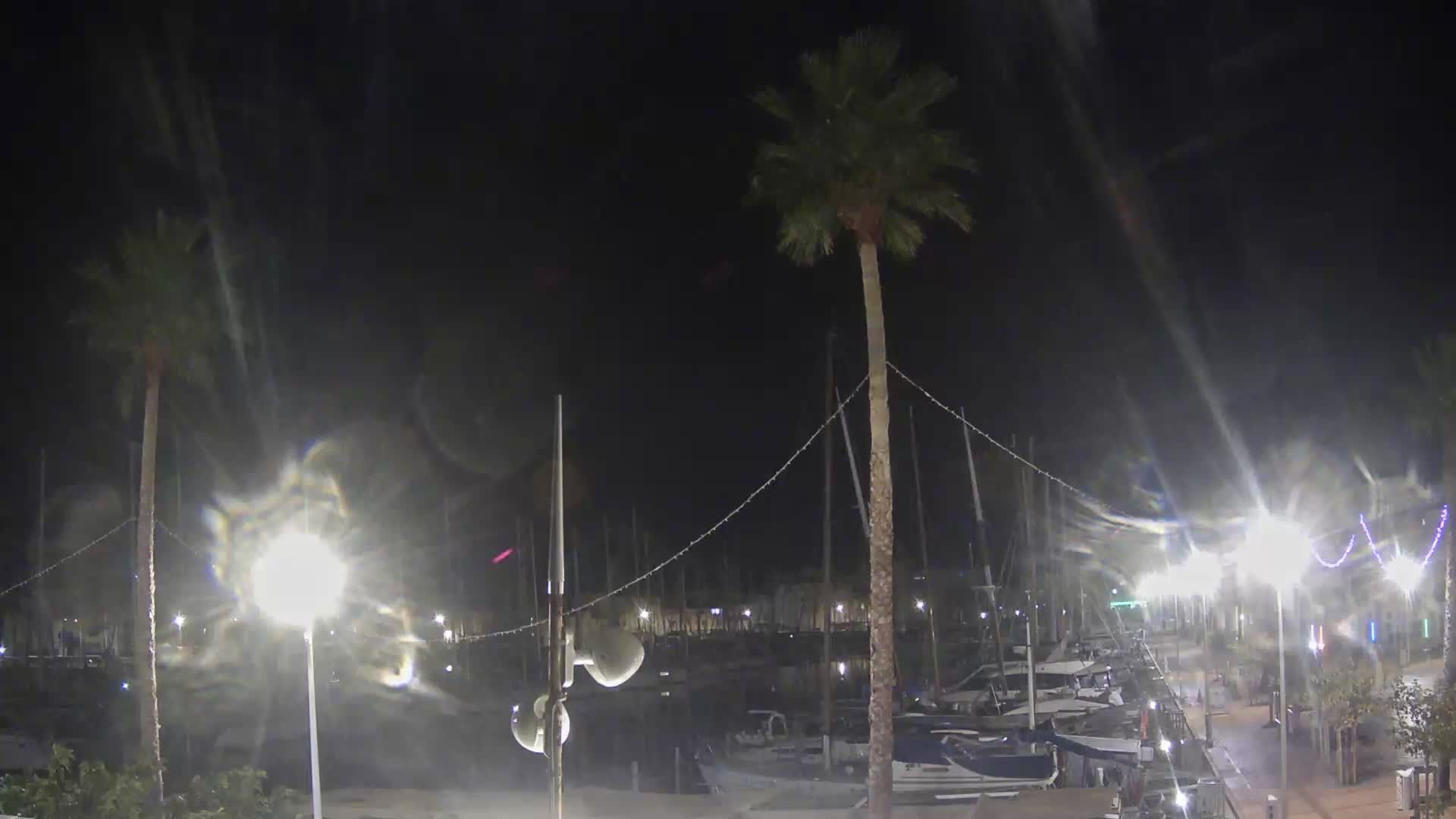 Leucate: Le Port