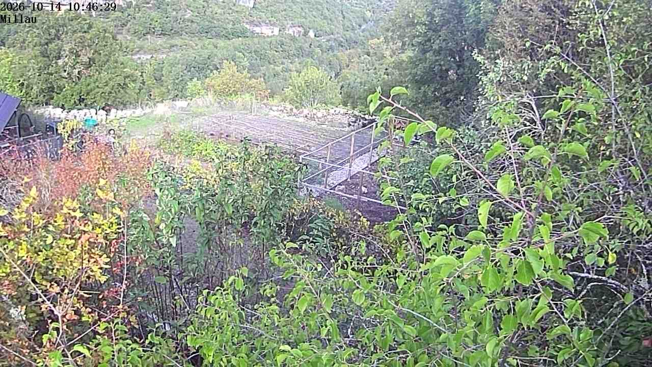 Nant: Cantobre - Midi-Pyrénées, France: Dourbie Valley
