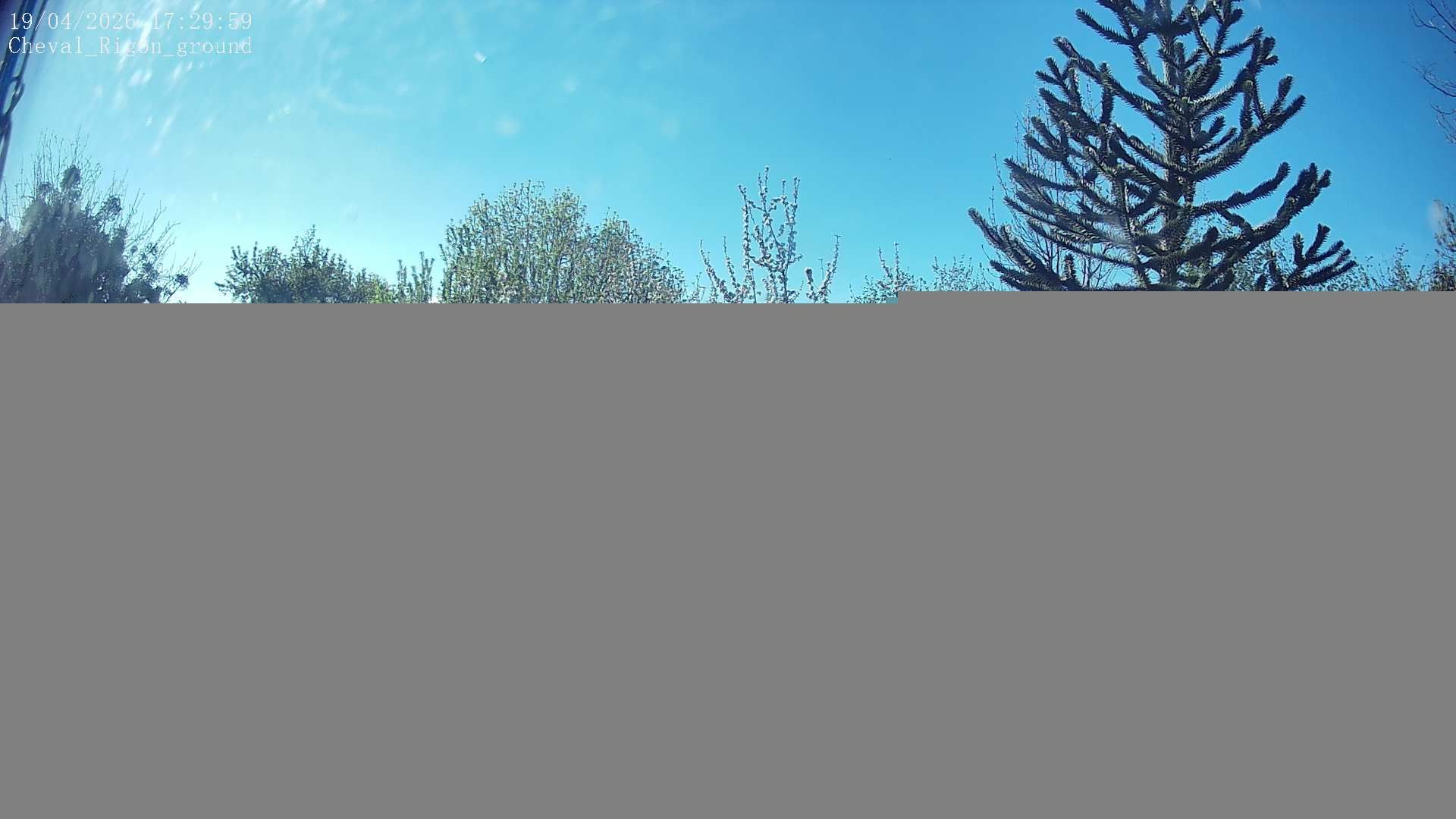 Ferrières-sur-Sichon: Cheval Rigon groundcam