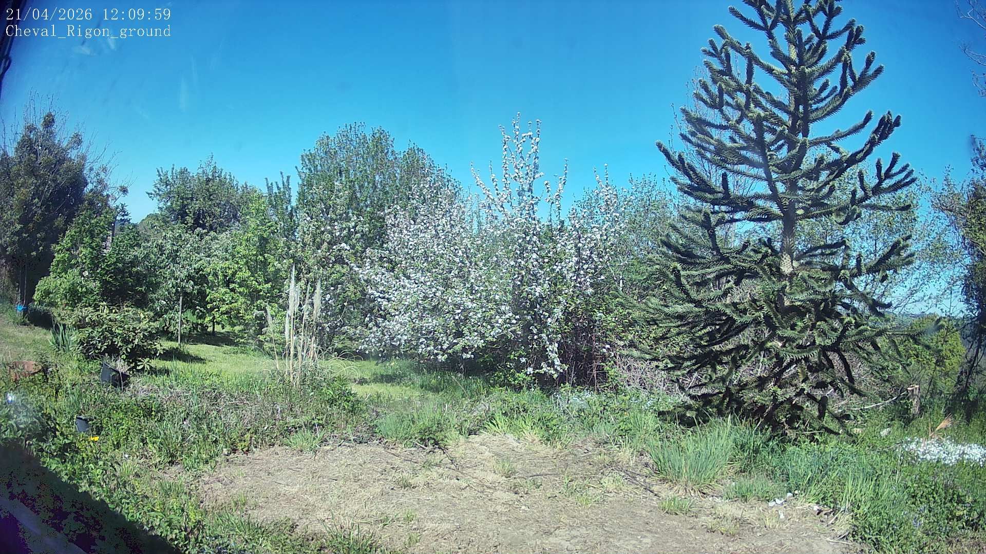 Ferrières-sur-Sichon: Cheval Rigon groundcam