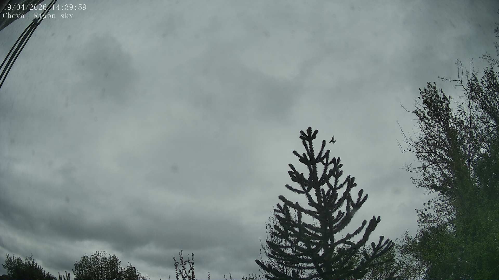 Ferrières-sur-Sichon: Meteo-Cheval-Rigon Skycam