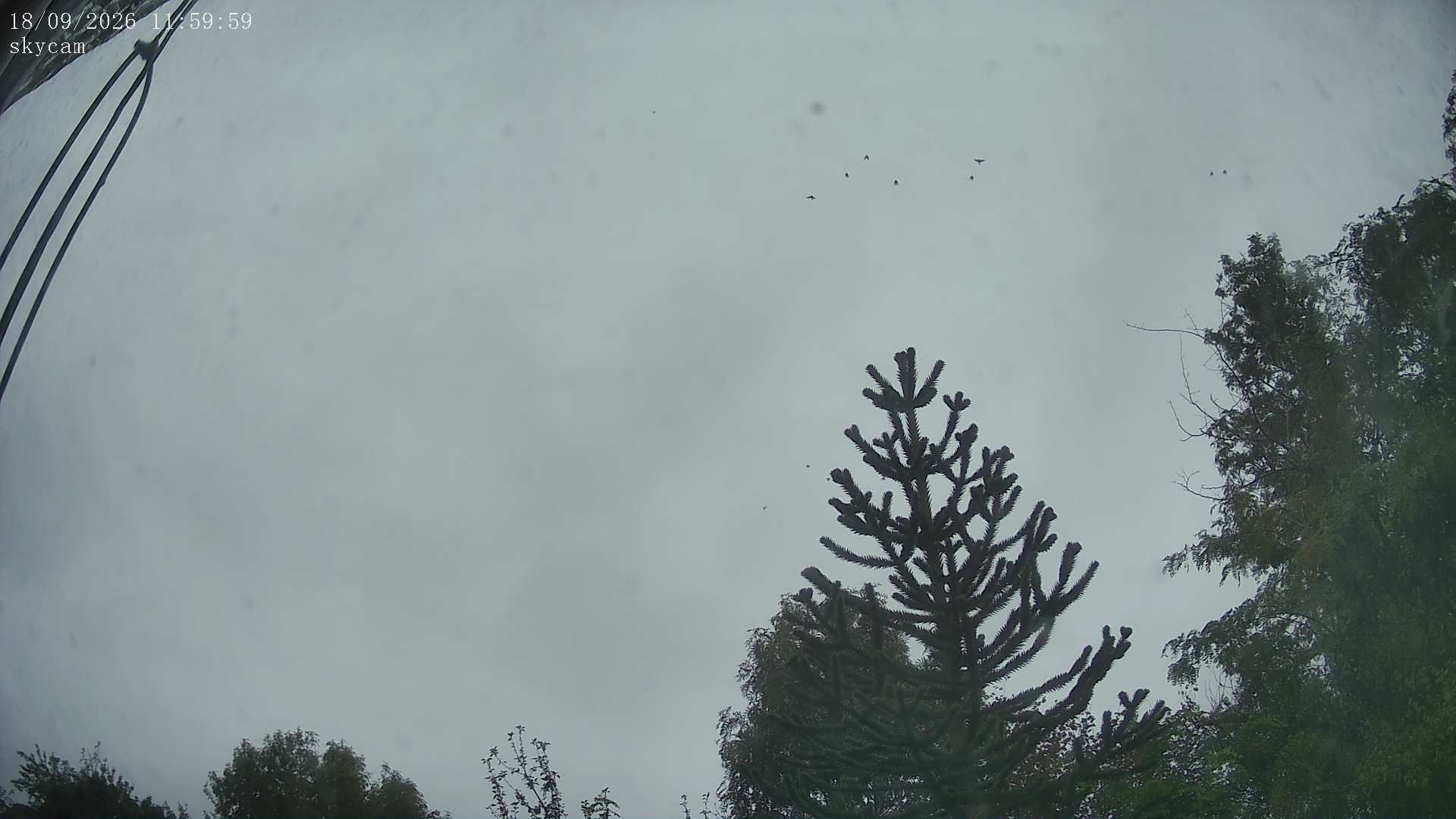 Ferrières-sur-Sichon: Meteo-Cheval-Rigon Skycam