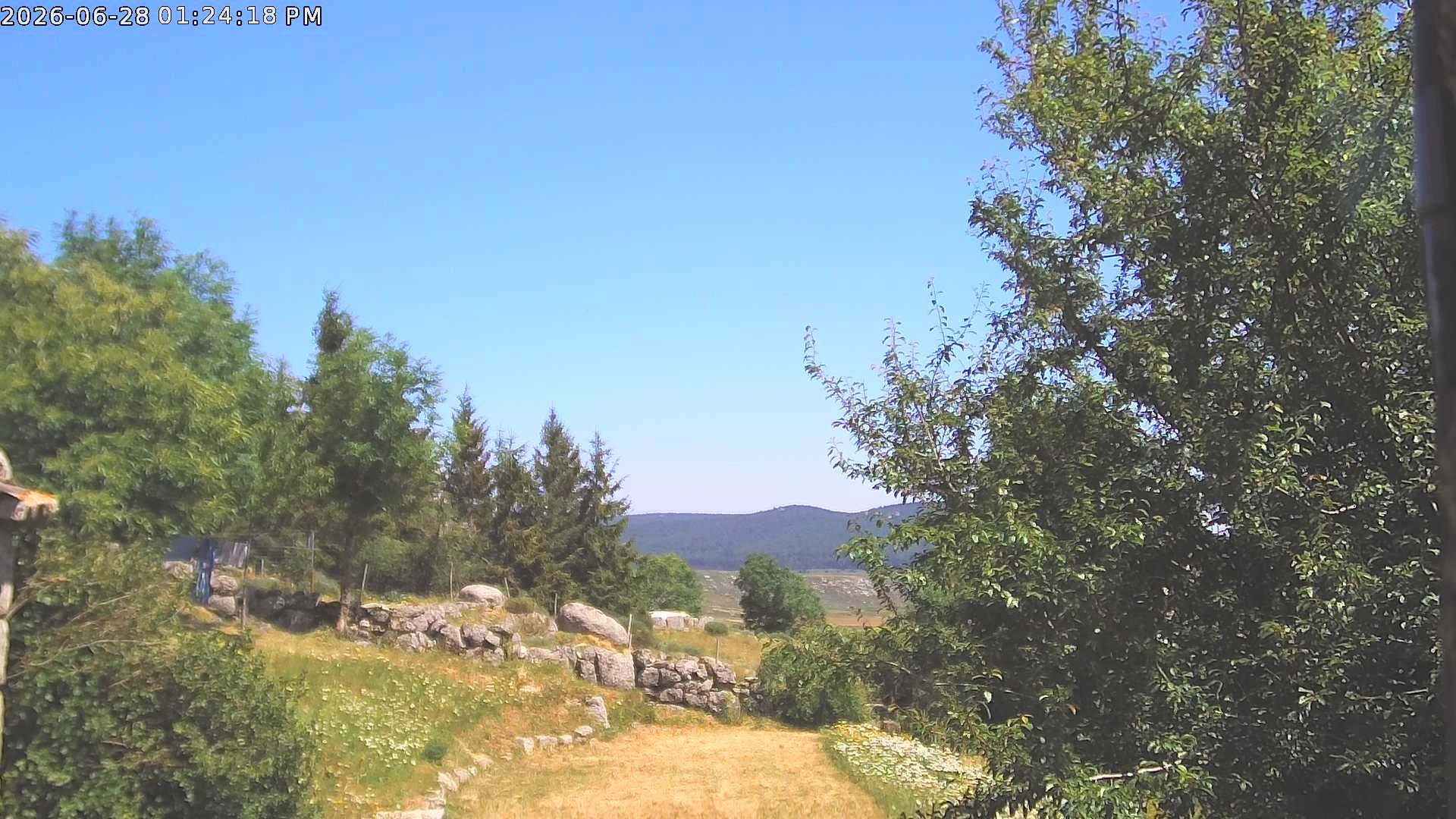 Pont de Montvert - Sud Mont Lozère › Est: Bois du Commandeur