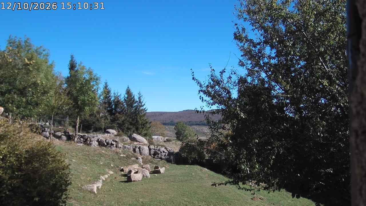 Pont de Montvert - Sud Mont Lozère › Est: Bois du Commandeur