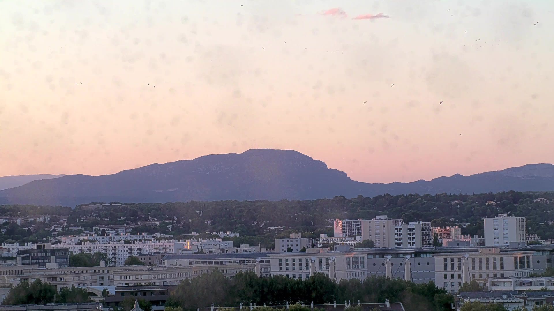 Montpellier: Pic Saint-Loup