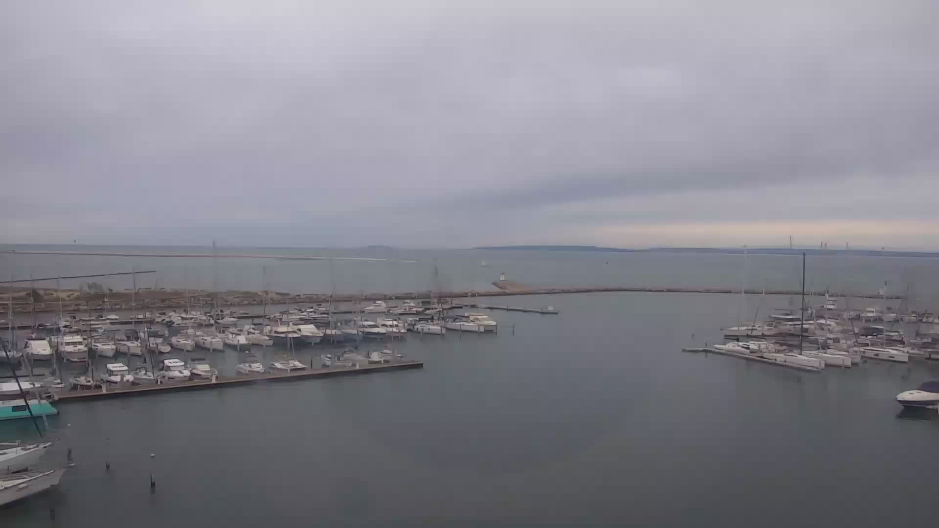 Le Grau-du-Roi: Yacht Club 2000 - Port Camargue - La Marinette (navette portuaire)