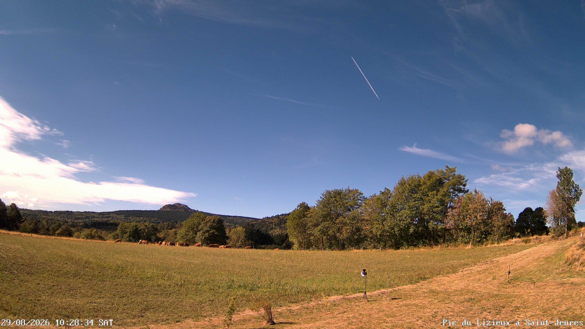 Saint-Jeures › Sud: Suc du Mounier - Pic du Lizieux