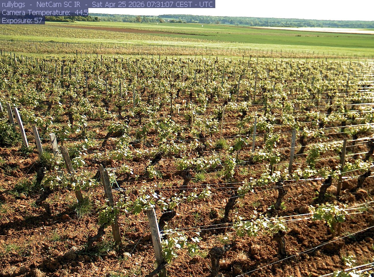 Rully: Chambre d’Agriculture de Saône-et-Loire - Antenne de Fontaines