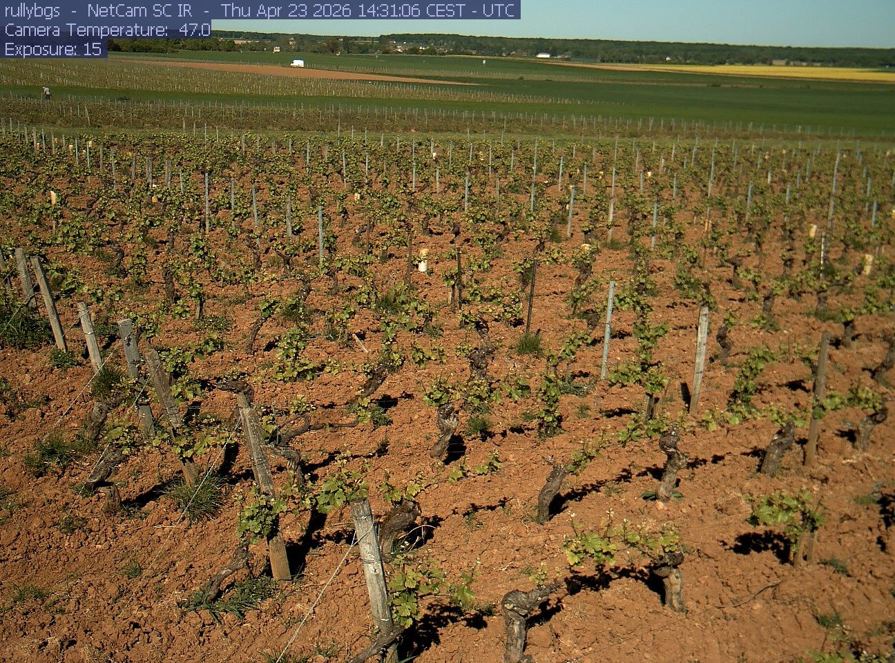Rully: Chambre d’Agriculture de Saône-et-Loire - Antenne de Fontaines