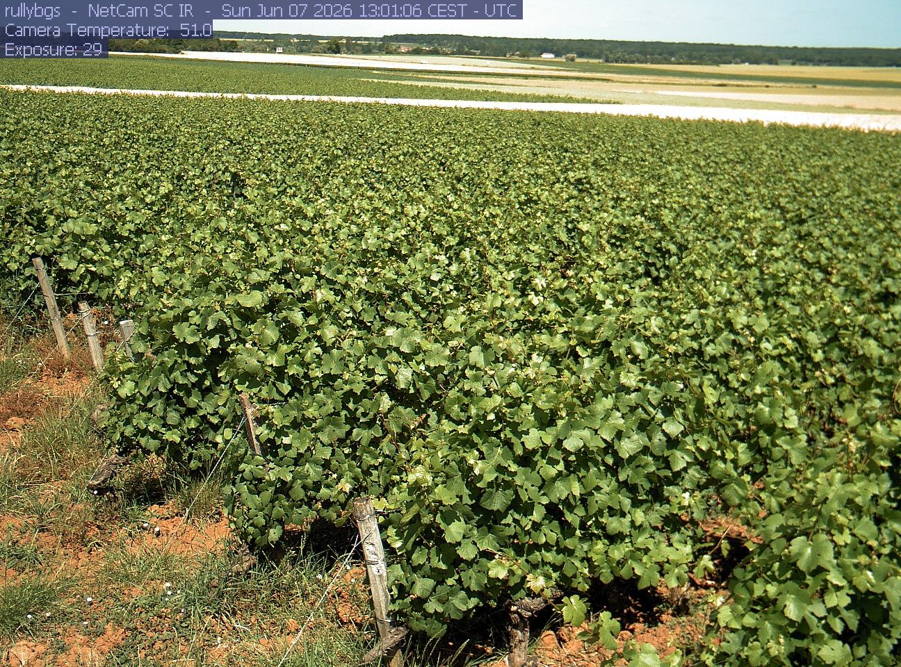 Rully: Chambre d’Agriculture de Saône-et-Loire - Antenne de Fontaines