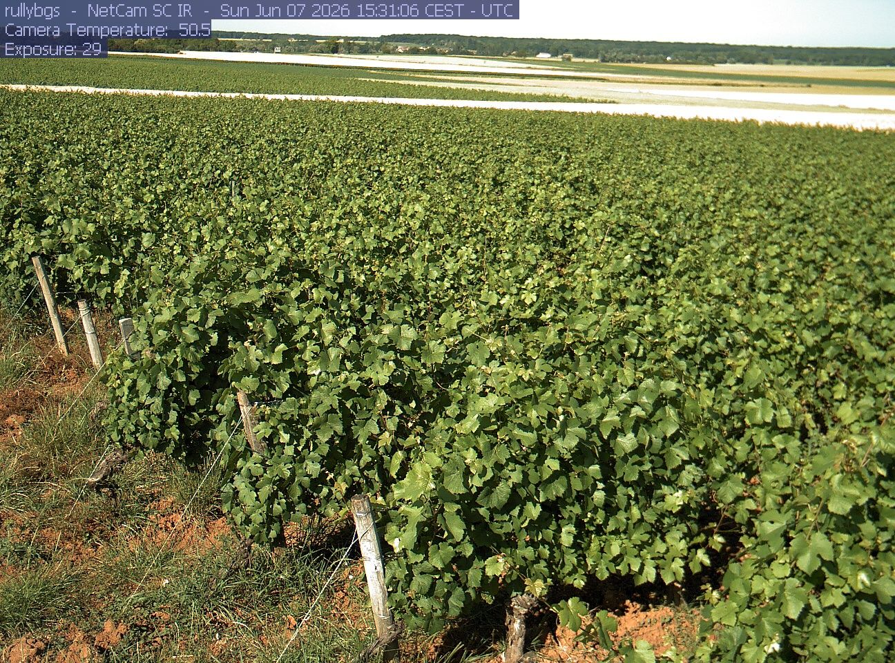 Rully: Chambre d’Agriculture de Saône-et-Loire - Antenne de Fontaines