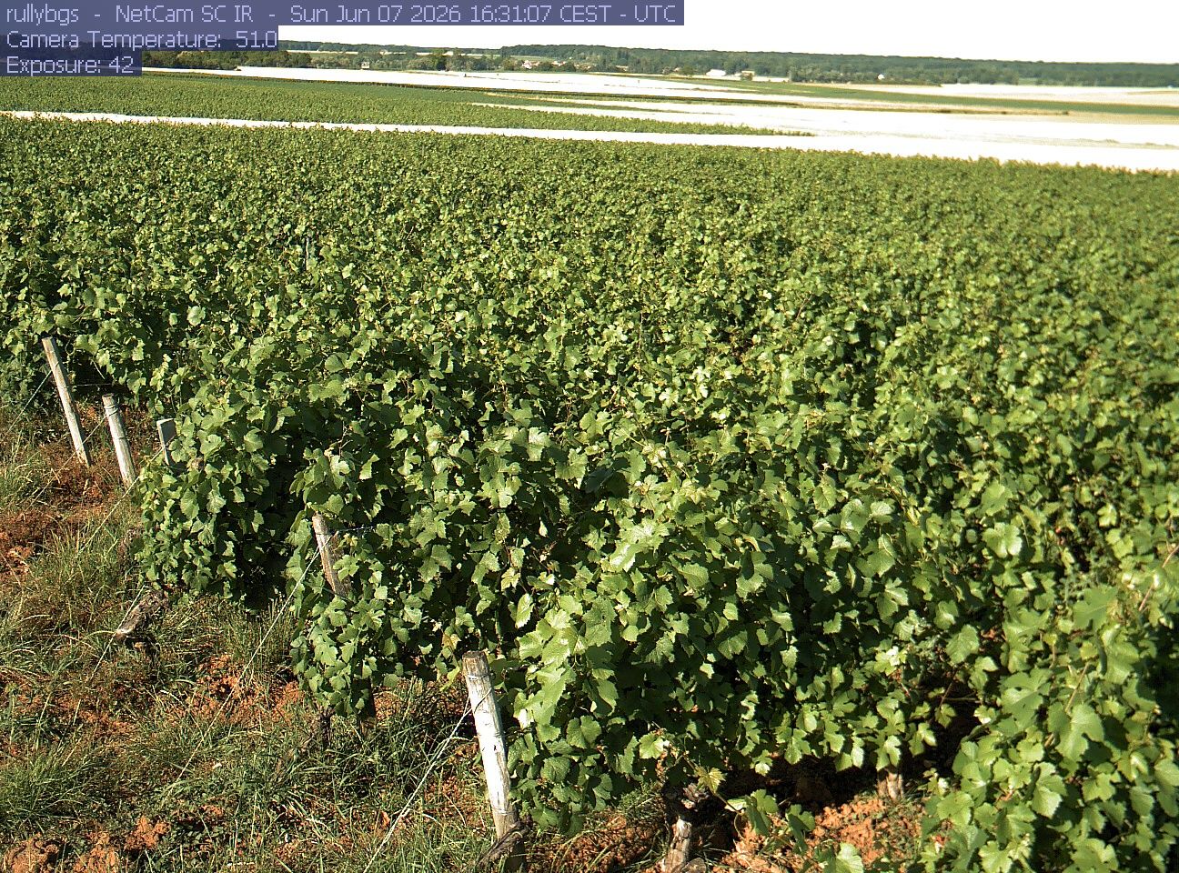 Rully: Chambre d’Agriculture de Saône-et-Loire - Antenne de Fontaines