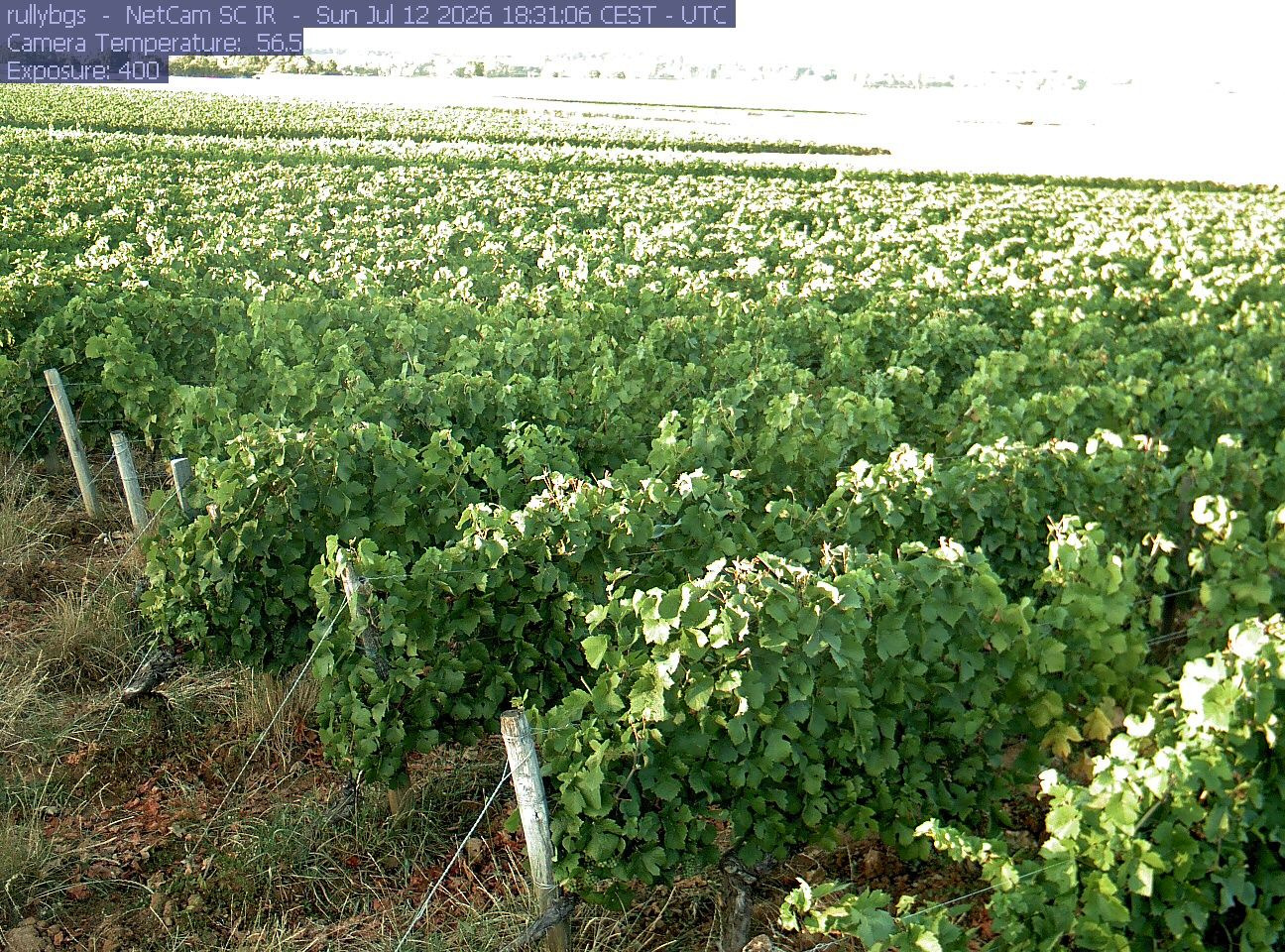 Rully: Chambre d’Agriculture de Saône-et-Loire - Antenne de Fontaines