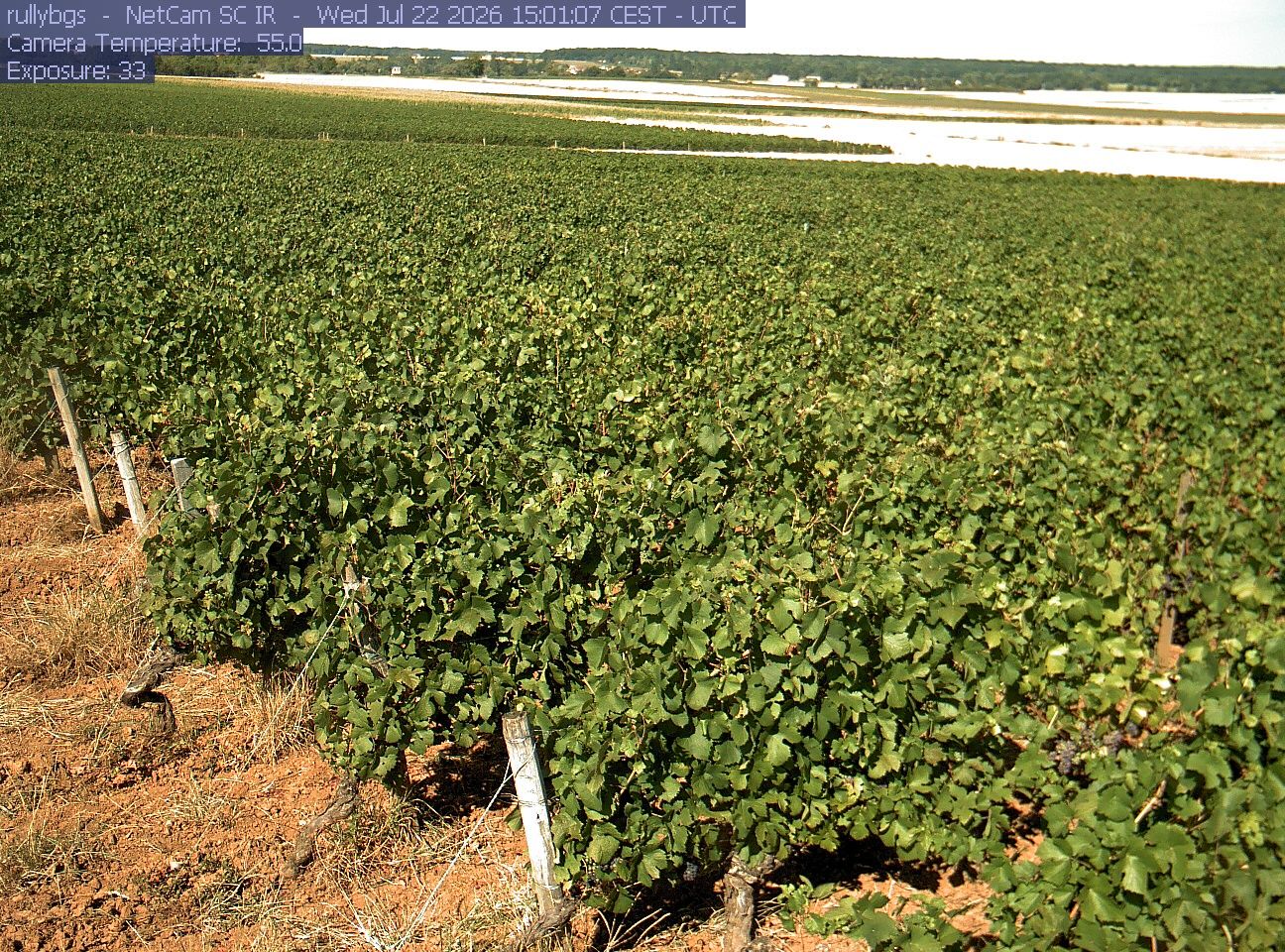 Rully: Chambre d’Agriculture de Saône-et-Loire - Antenne de Fontaines