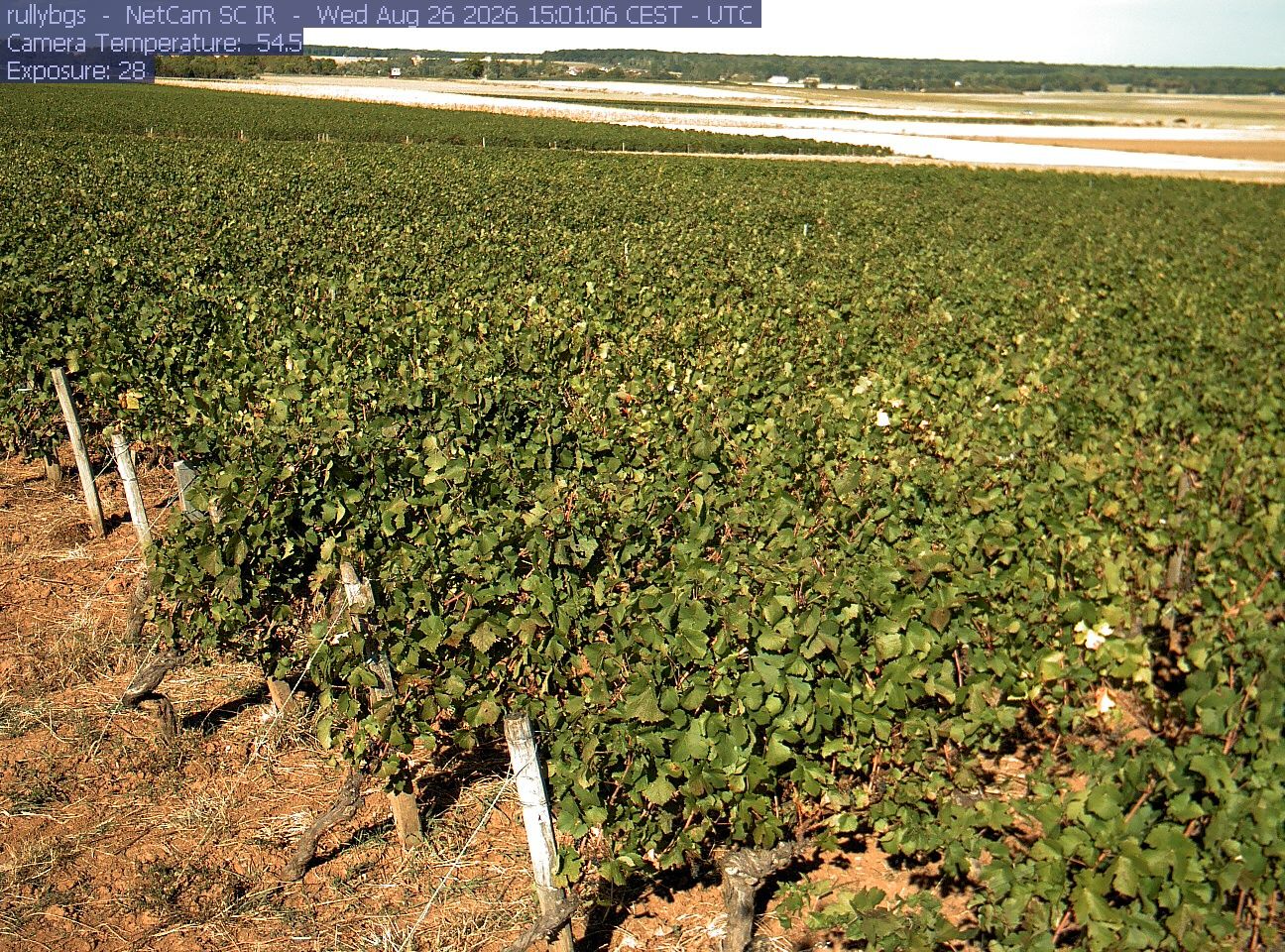 Rully: Chambre d’Agriculture de Saône-et-Loire - Antenne de Fontaines