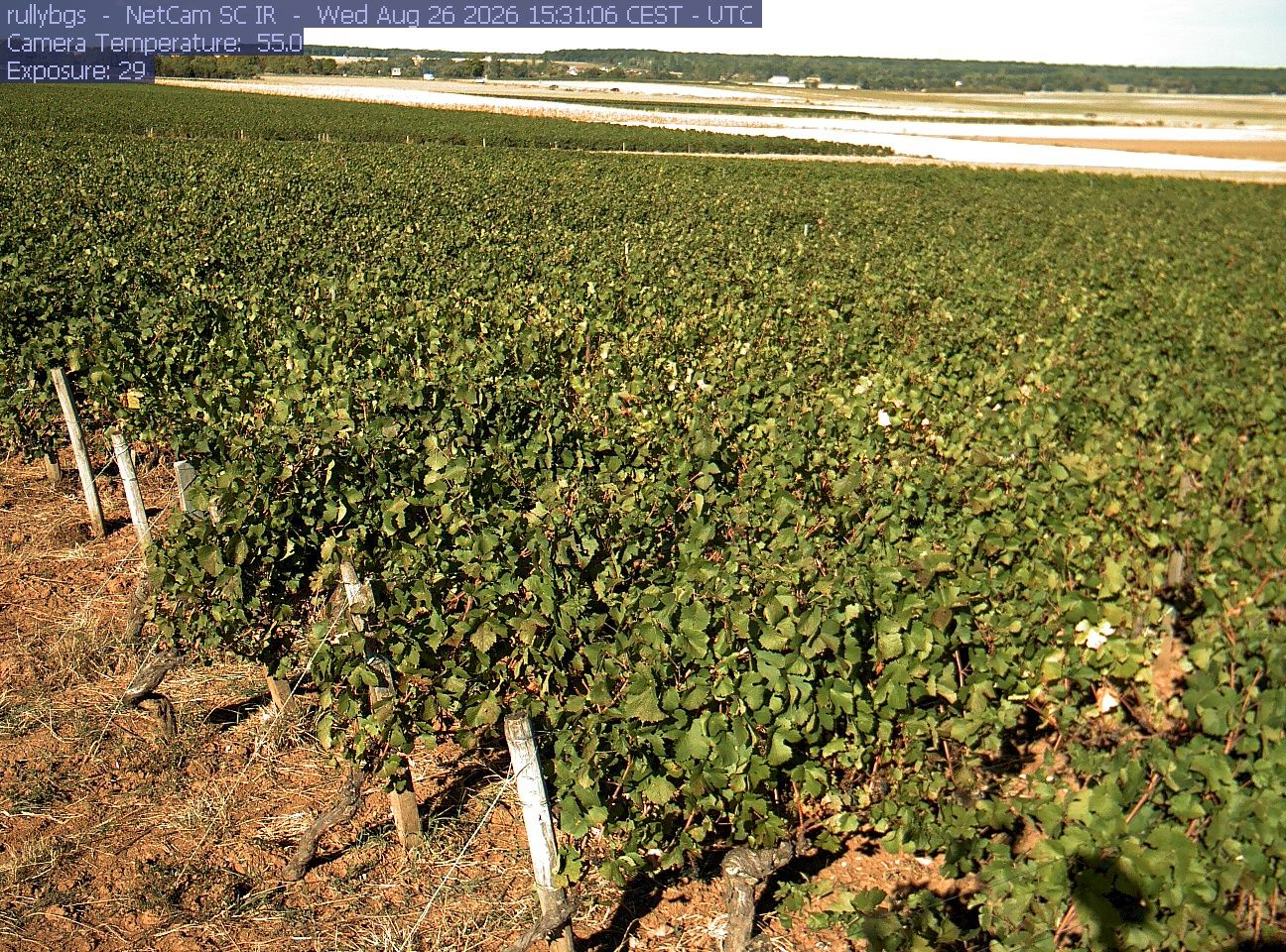 Rully: Chambre d’Agriculture de Saône-et-Loire - Antenne de Fontaines