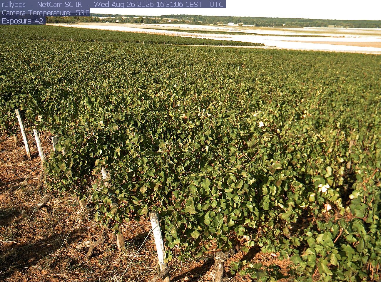 Rully: Chambre d’Agriculture de Saône-et-Loire - Antenne de Fontaines