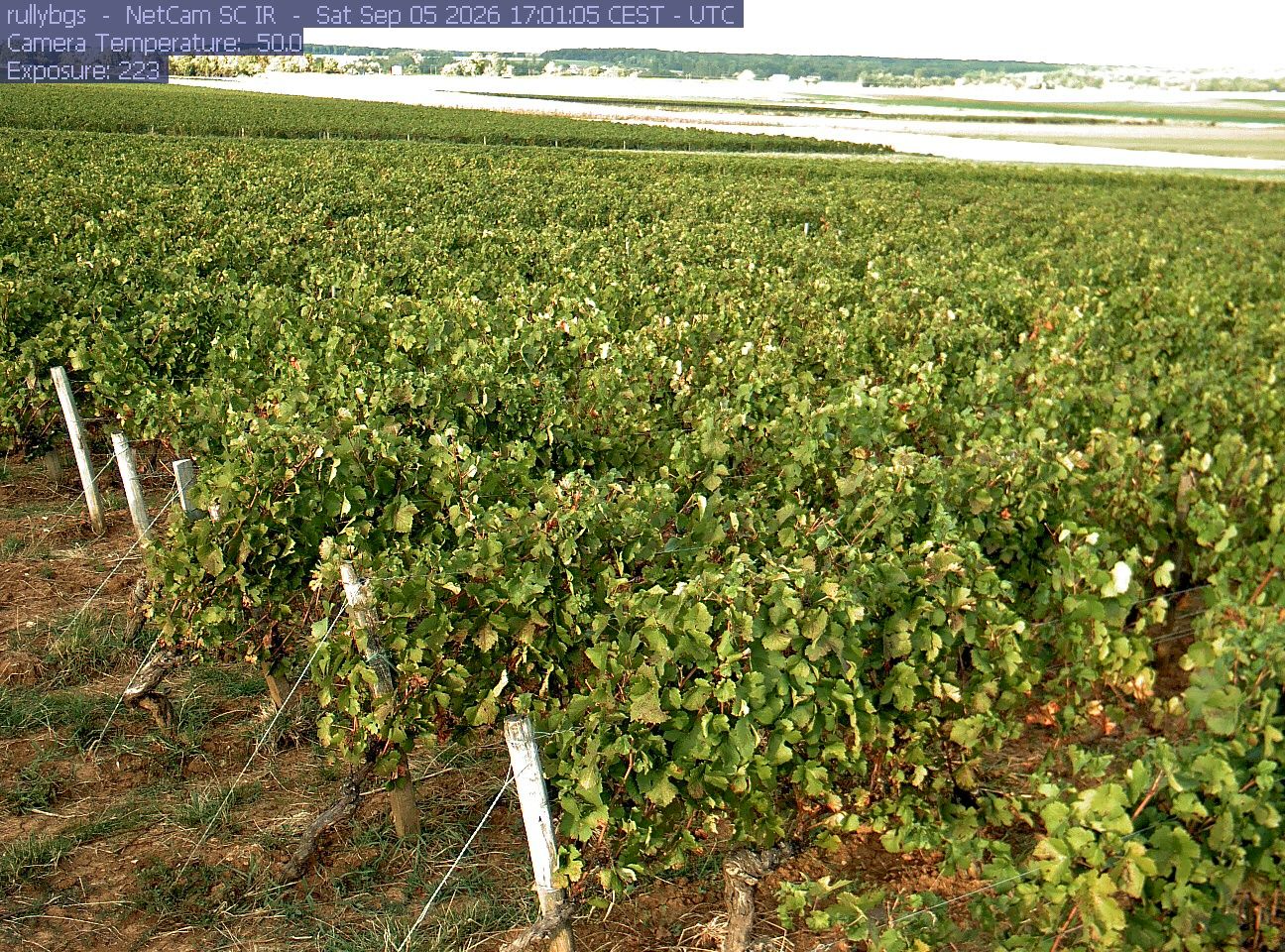 Rully: Chambre d’Agriculture de Saône-et-Loire - Antenne de Fontaines