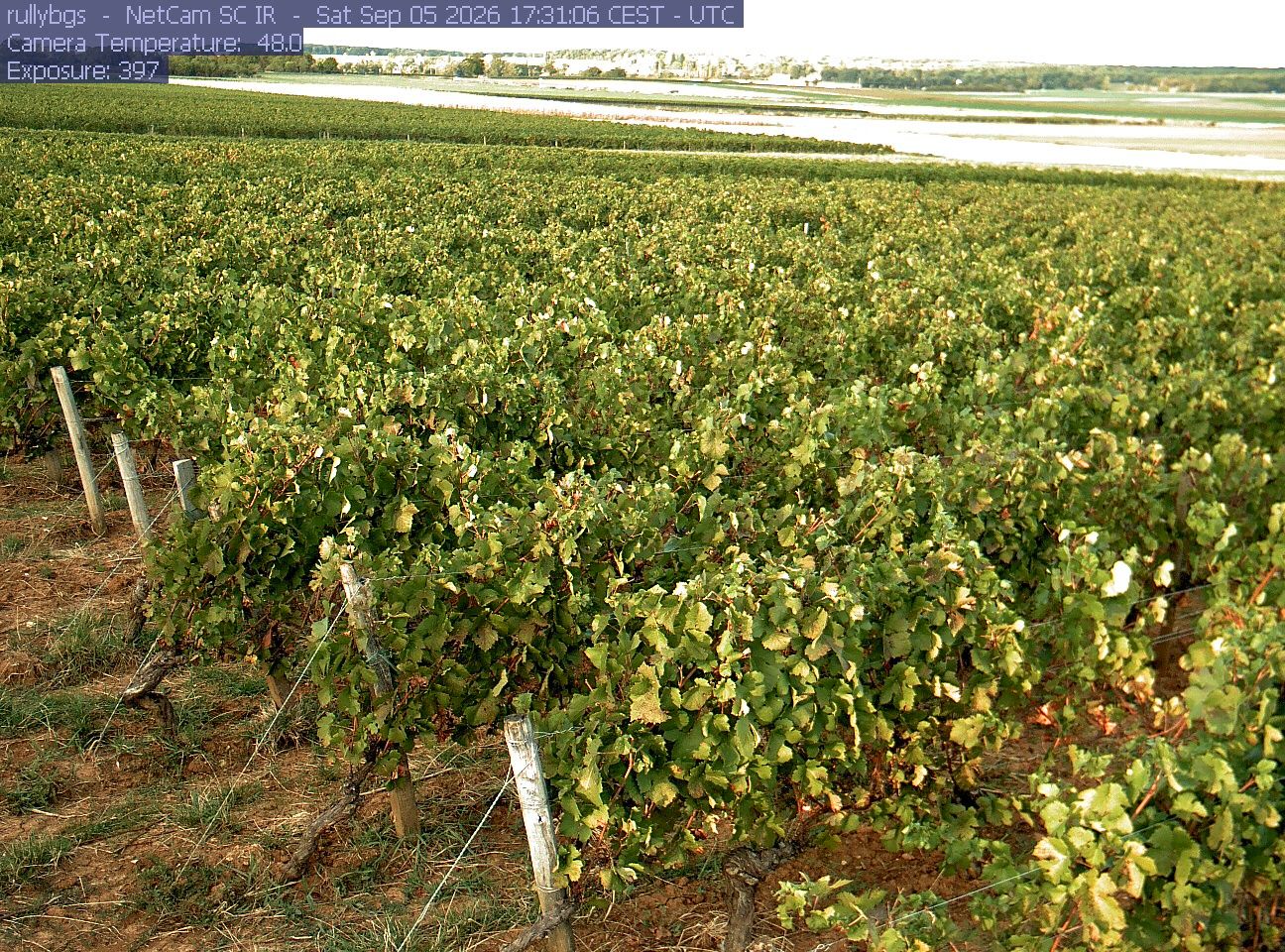 Rully: Chambre d’Agriculture de Saône-et-Loire - Antenne de Fontaines