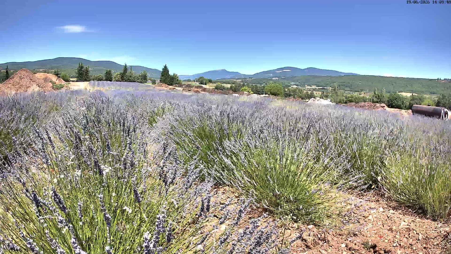 Sault › Nord-ouest: Aroma Plantes