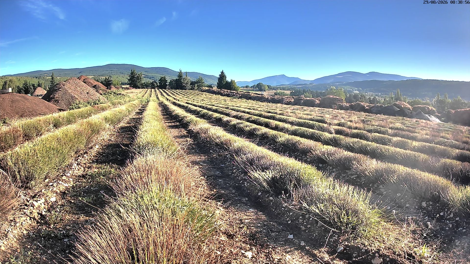 Sault › Nord-ouest: Aroma Plantes