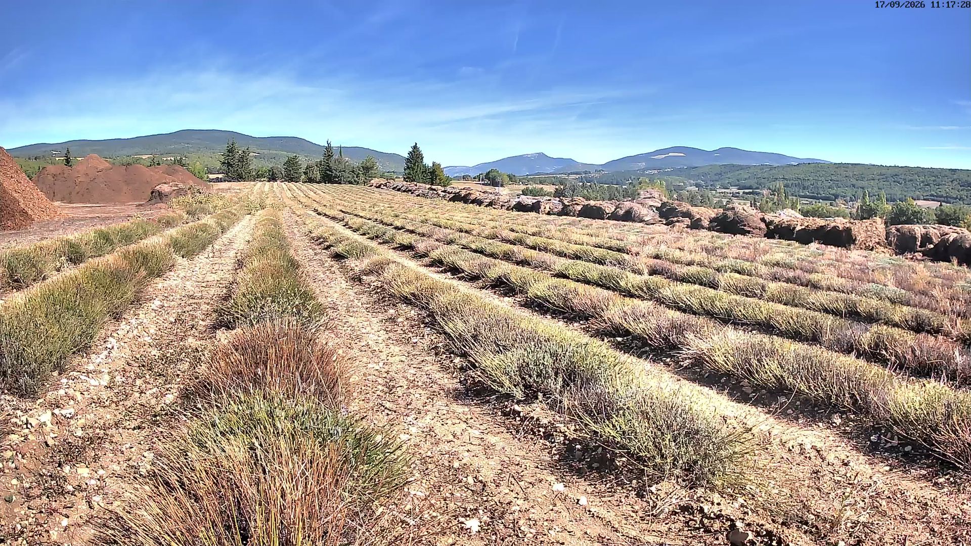 Sault › Nord-ouest: Aroma Plantes