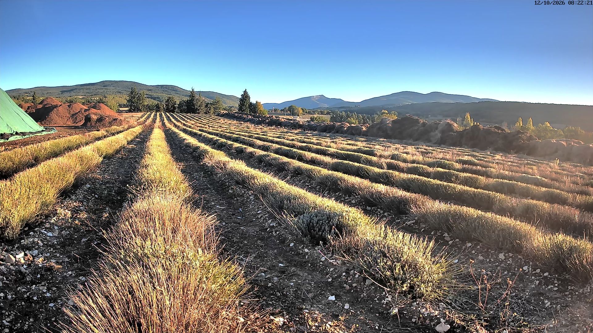 Sault › Nord-ouest: Aroma Plantes