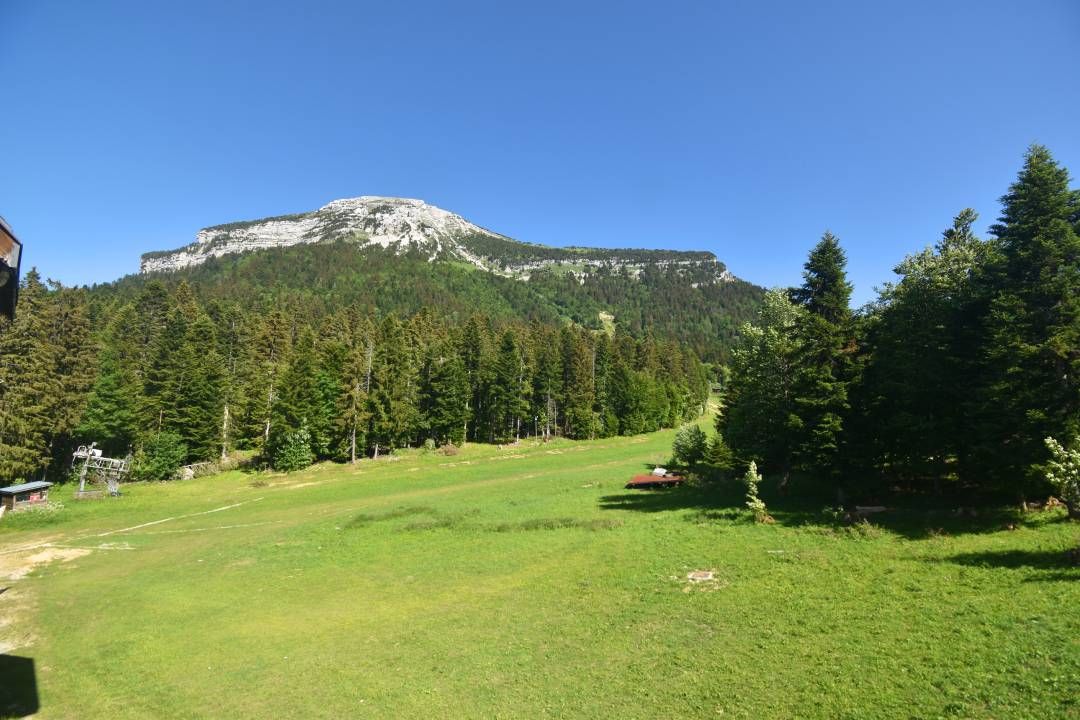 Sarcenas › Est: Col de Porte