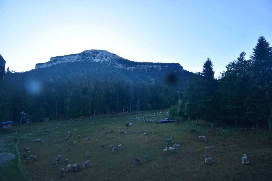 Sarcenas › Est: Col de Porte